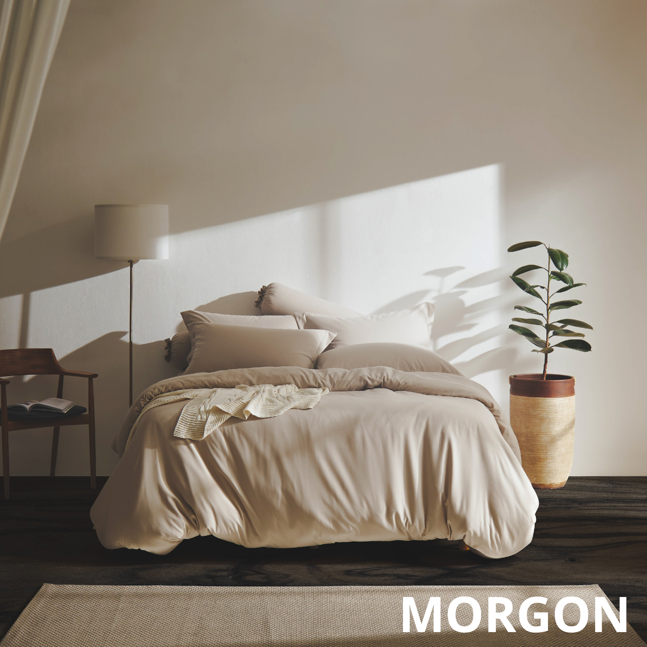 2024_info_norden_website_notext_info_morgan