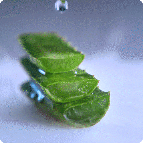 technology-lotusattitude_aloevera-gif